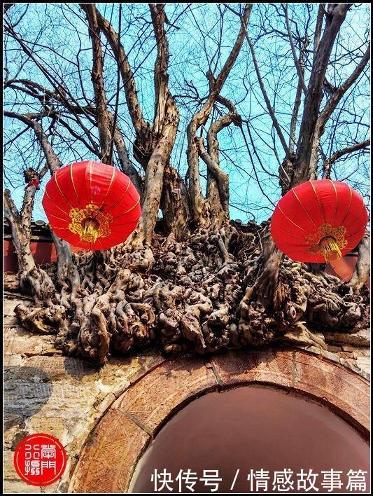 灵岩寺的那些树成精要逃跑，却被高僧定在墙头或屋顶，好有趣