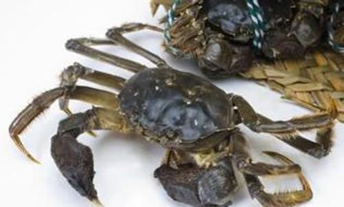  「养殖户」行情大跌，螃蟹公司今年赔了一千多万！农家乐养殖户