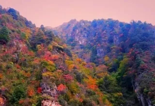 「自驾秦岭」秦岭这5条老公路，承包了最斑斓的深山秋色