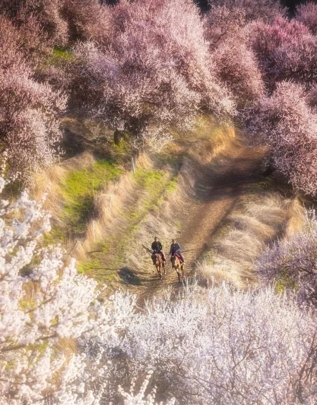 全世界最美的50个地方:我愿赚点小钱,余生一定走遍