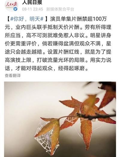 范冰冰逃税风波延烧 官方禁天价片酬原因曝光