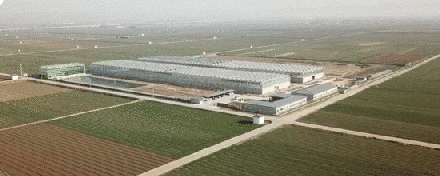  章丘区：这个恐怖工厂：养10亿只蟑螂，每天喂50吨饭（饭前慎入