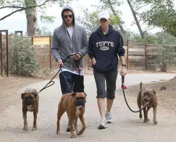 网传异烟肼只毒狗，对人无害，这是真的吗?一次讲明白