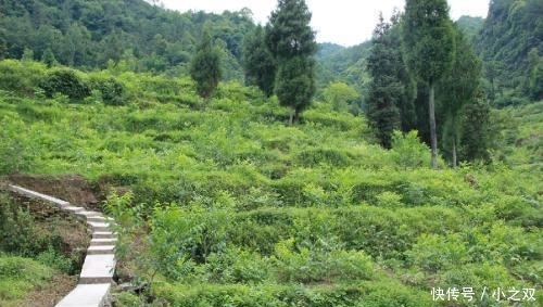 10年内, 农村人要面临4个难题, 几乎每家都难逃开, 农民早点打算