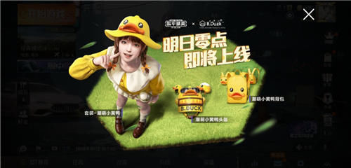  『玩家』和平精英小黄鸭系列皮肤用点券购买需要花费多少钱？全套购入需要多少钱