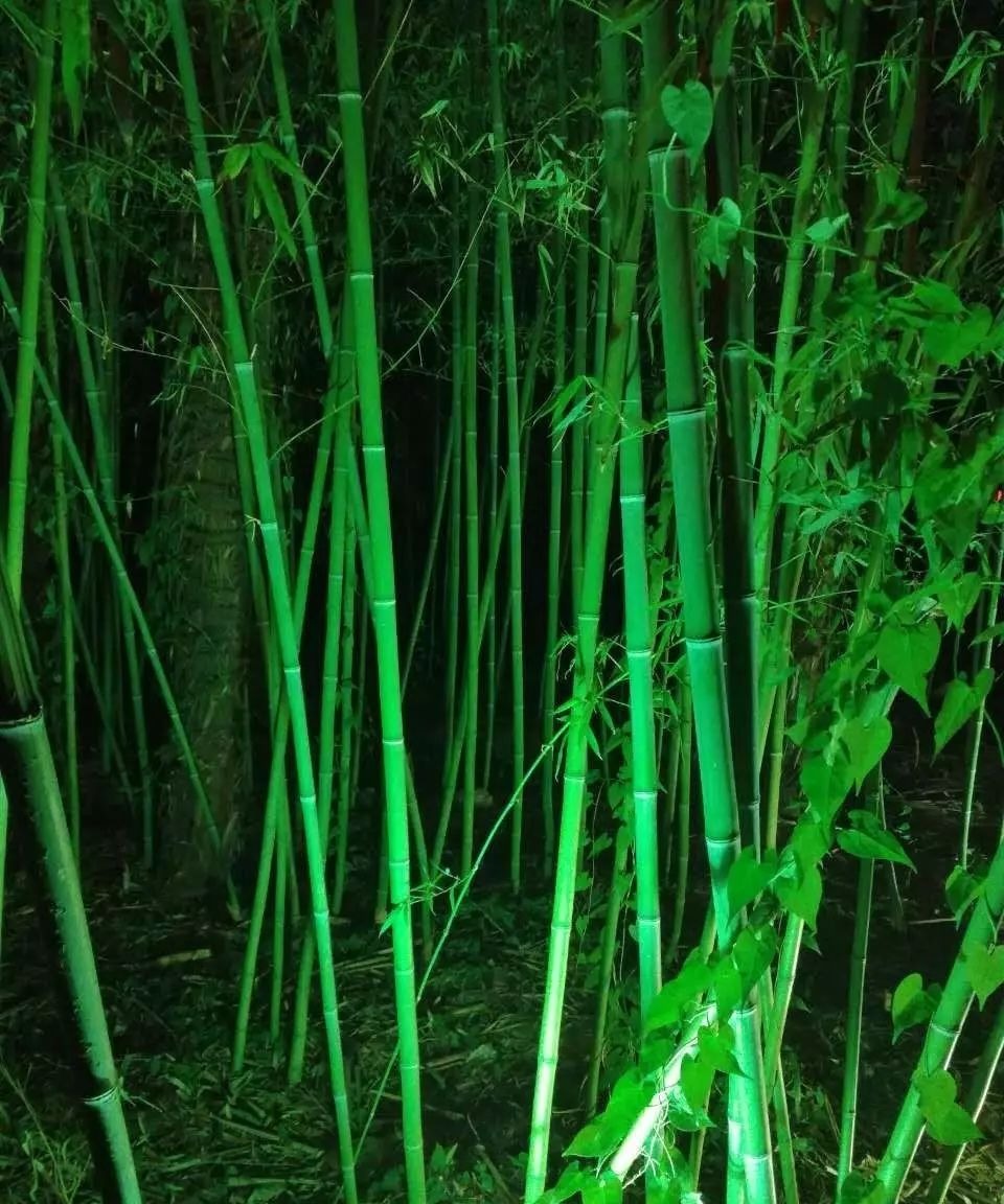 父亲节一一致自己