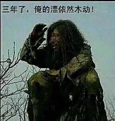 [鱼塘]这5个养殖鱼塘专用钓鱼技巧学会后，老板嫌我钓得太多，要赶我走！