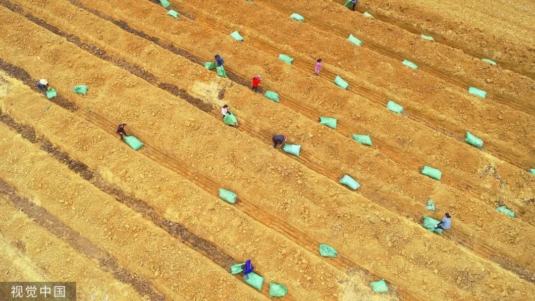  「二轮土地承包到期」【关注】中央定调！这15亿亩土地有明确说