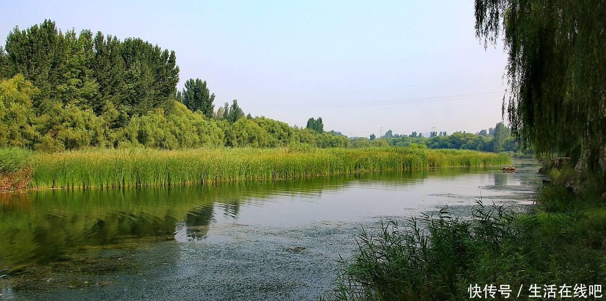 一日不见,如隔三秋三秋原来是这个意思,别再