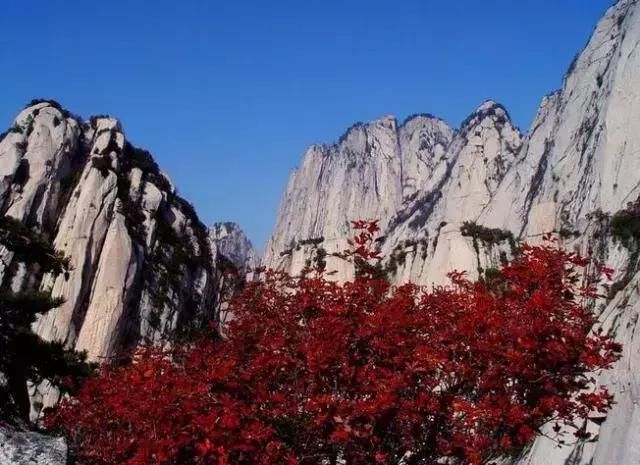 最美不过华山秋~