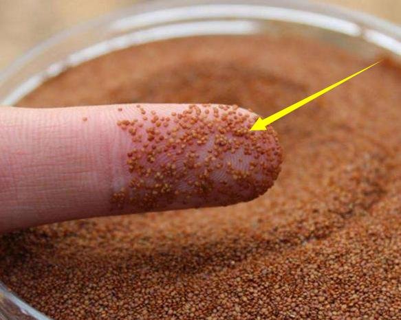 女人毛孔粗大很粗糙，用蛋清和小颗粒混合敷脸，3天收毛孔除暗黄