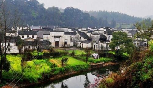  [2024年]五年后“农村”最缺的会是什么？为什么？