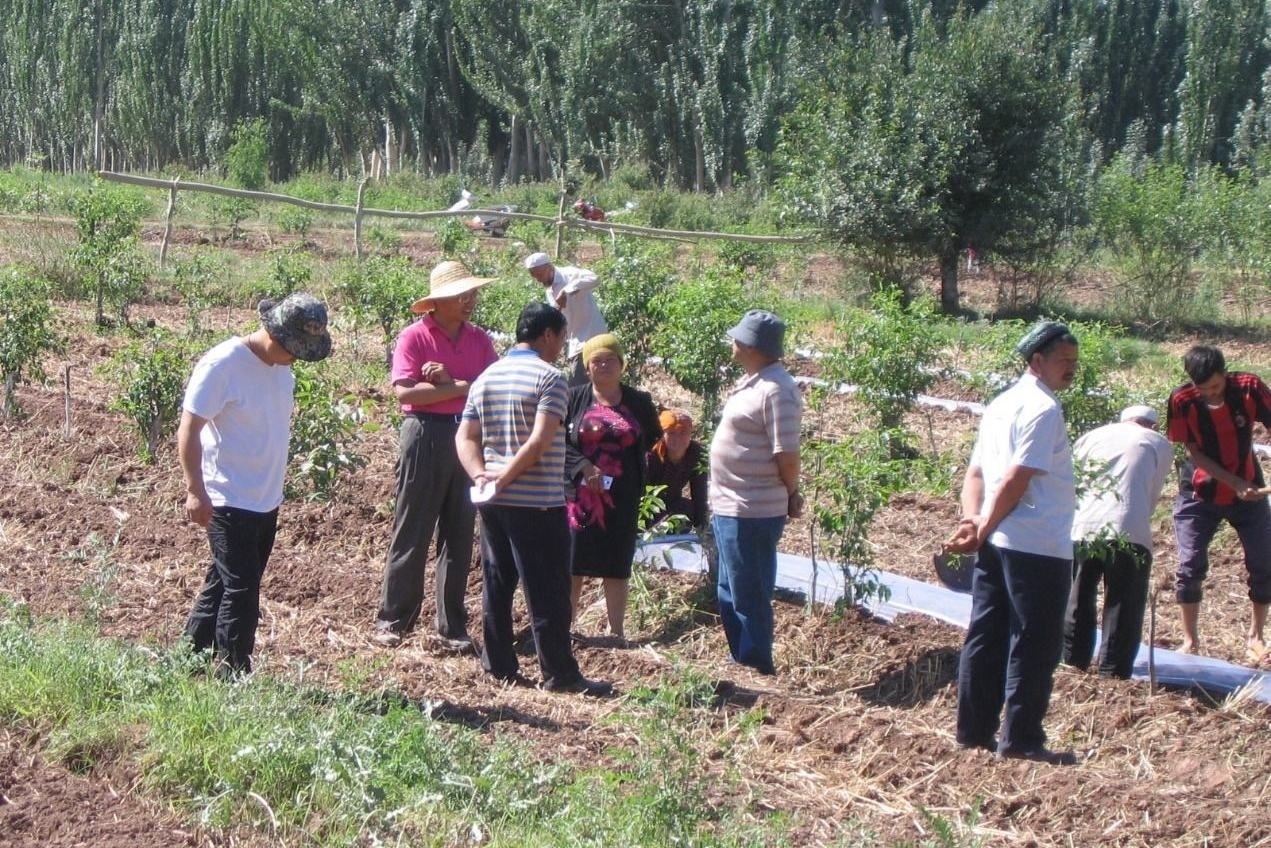  「耕地」村干部开始带头督查，这3笔糊涂账会被处理，每个村都有