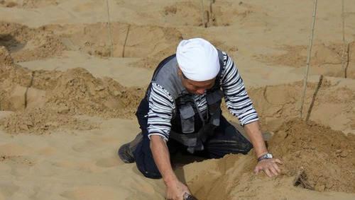 日本人花14年跑到中国治理沙漠,游客发现了背后的意图！