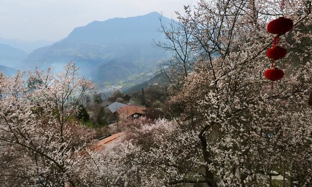 李子柒家乡绵阳风情