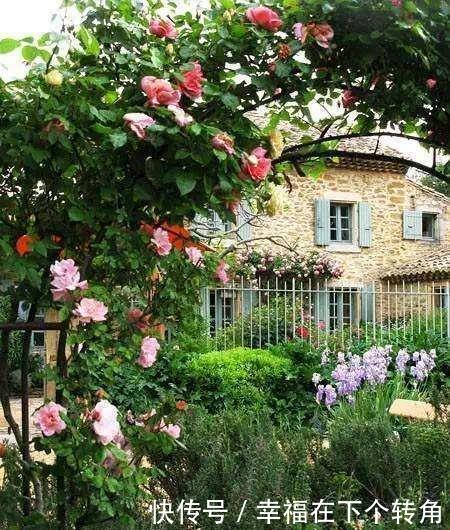  「快乐」篱笆小院住在乡村的快乐，你想体验吗！
