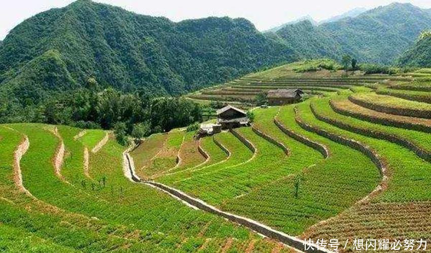  身价|农村有房的要偷乐了，这4项福利推行，农民身价将会高涨