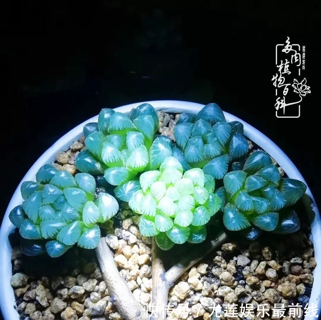 『那种』我爱的,就是你的存在!只要努力该来的都在路上!