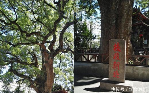 「蓬莱仙境」到坐落在蓬莱仙境的清水岩寺，朝拜清水祖师爷游览仙山风景。