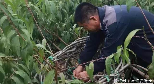  「椅子」大爷花10年“种椅子”，一把卖80000！这些文玩在家也能