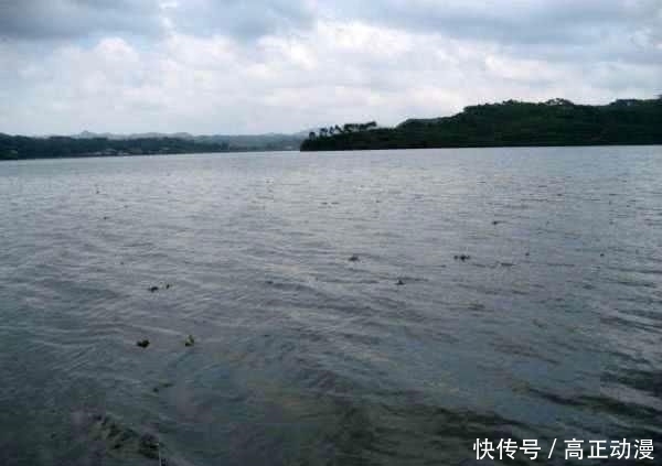 【生活费】鱼跑了, 杆也断了, 钓鱼人半个月的生活费没了