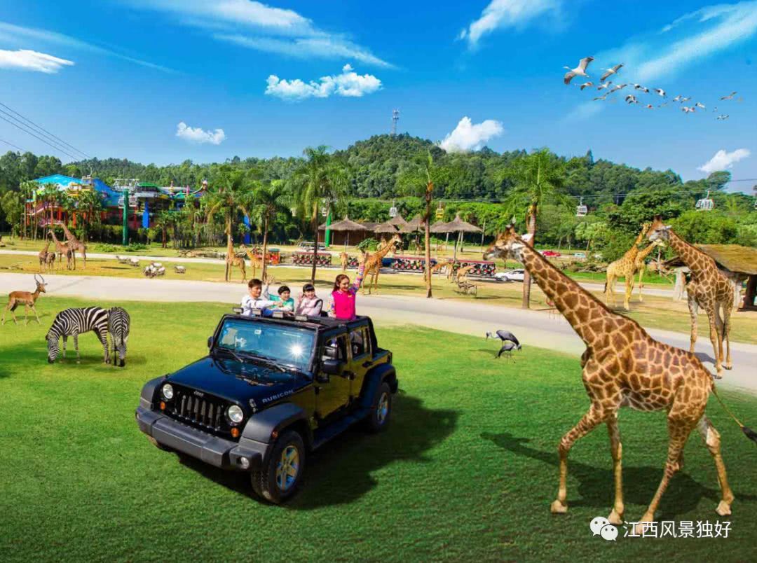 最受江西人喜爱的省外旅游目的地之一--广东,了