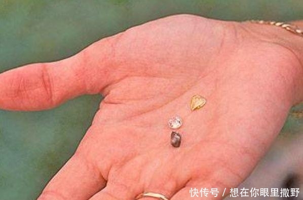 世界上最贵的河，随便捞一件宝贝就能换套房，24小时有人看守