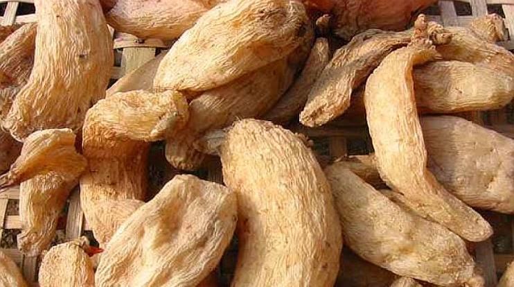  【天麻】农村一种野草以前不重视，现种植亩产5000斤，一亩收入6