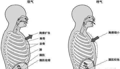  「毒素」神奇呼吸法，教你调神养智，排出肺中毒素