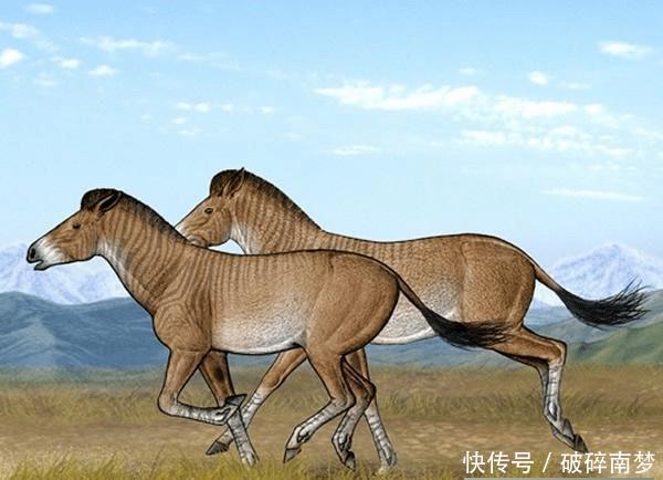  「我国」假如青藏高原不隆起，我国南方是什么环境？