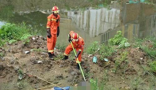 「电鱼」电鱼人为了养家糊口?我有不同意见