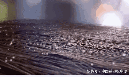 『款洗发』3款容易“踩雷”的洗发水,用后头痒又起头皮屑,没用过真的幸运