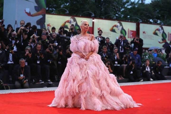 155的LadyGaga全身插满粉色羽毛远赴威尼斯，自己从美国飞来的?