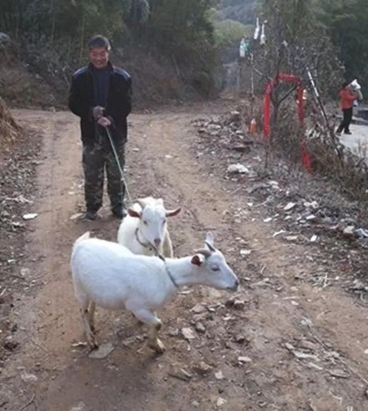 改革开放40年，开化农村发生什么变化？山里农民举了这些例子...