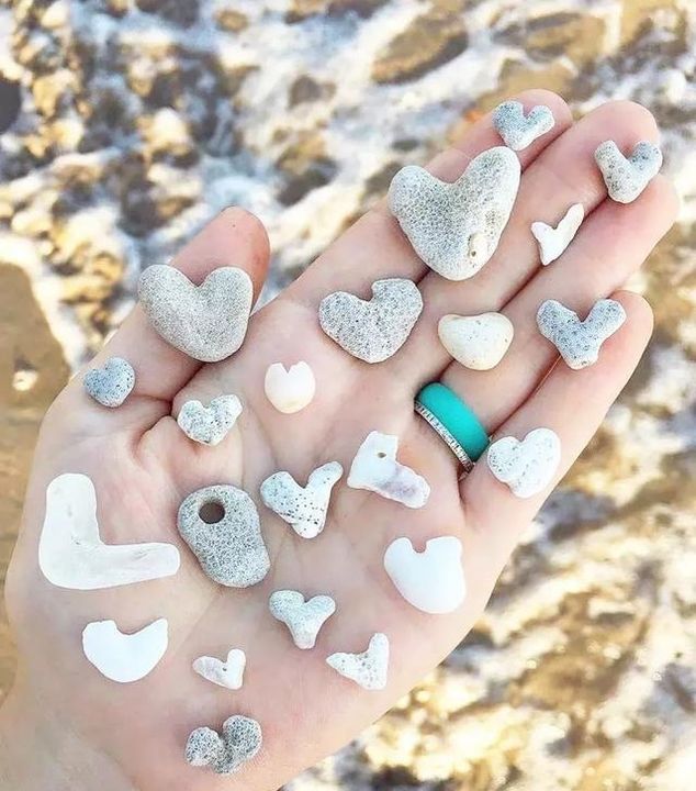 西沙，只准中国人上的海岛，只有0.01%的人去过