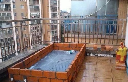  「合适」邻居在楼顶搭建一个菜园，这做法真的合适吗？