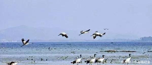 中国地级市100强排名公布, 毕节上榜!