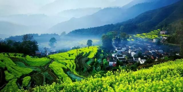 “最美乡村”的称号的婺源花开得美爆了！