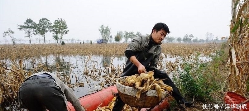  利润■承包30亩地，租金1000元/亩，一年利润是多少？农业补贴归