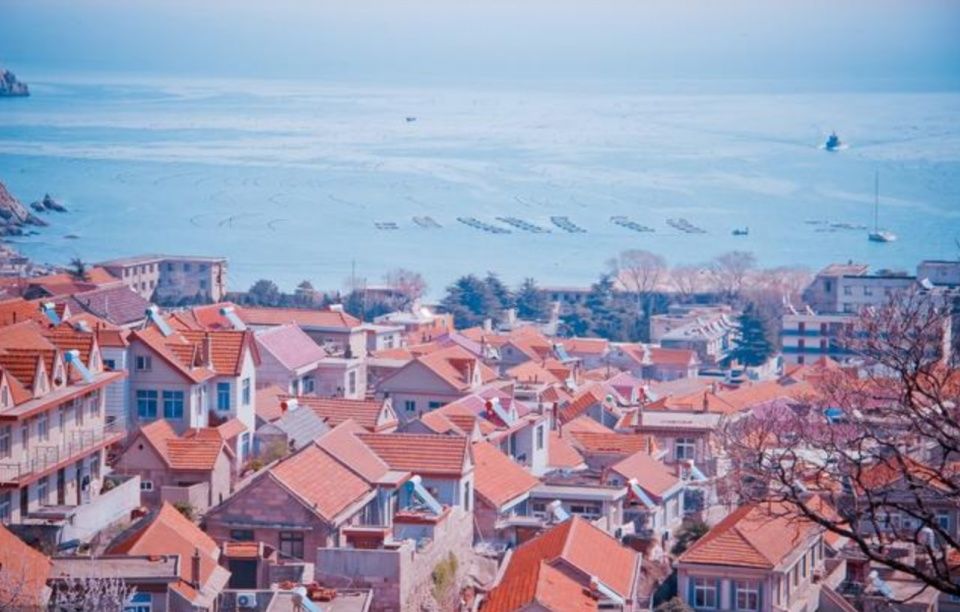 青岛网友不服苏州网友,拿两个城市旅游做比较,结果打脸