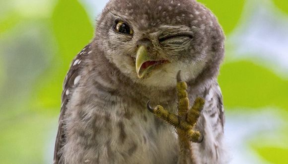 泰国生活中习俗，有的与我国正好相反，颠覆认知必须注意