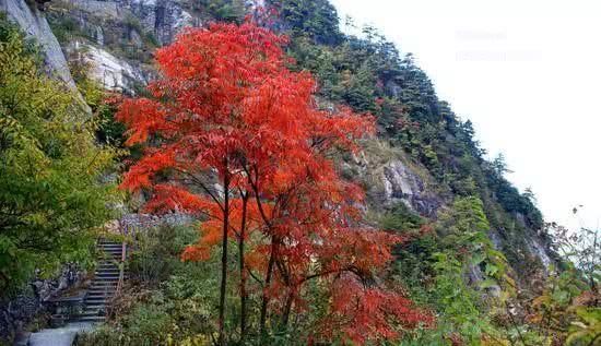 浙江不只有江南烟雨,这10个地方藏着浙江的绝美秋景