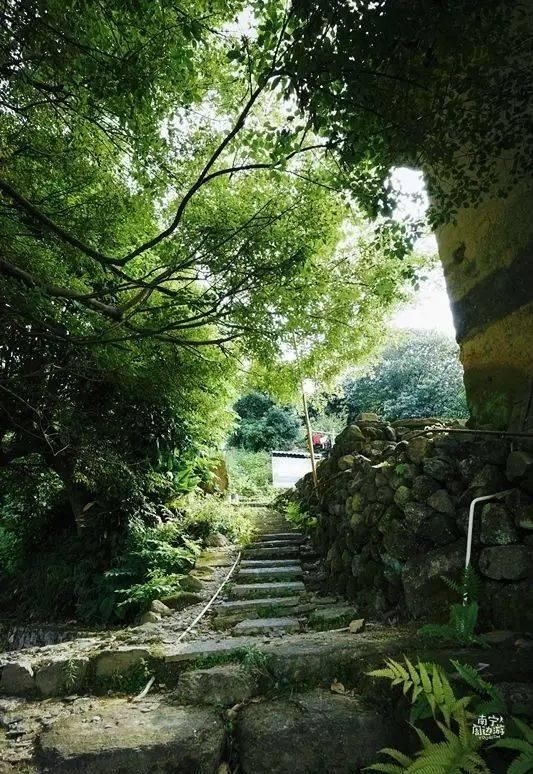 南宁深山藏了个清代古村庄，土瓦房、石板路…山色葱葱，宁静闲适