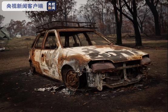 森林是一片森林吗