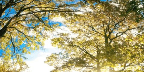 又一高铁即将被建设, 从江西至湖南, 将带动这几个城市的发展!