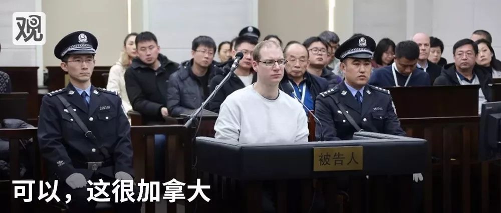 白岩松等人获国务院奖励