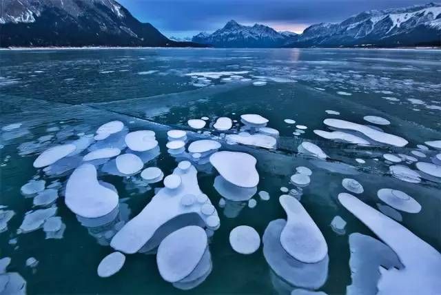 不用再去国外，去了新疆就等于去了全世界，不信你看！