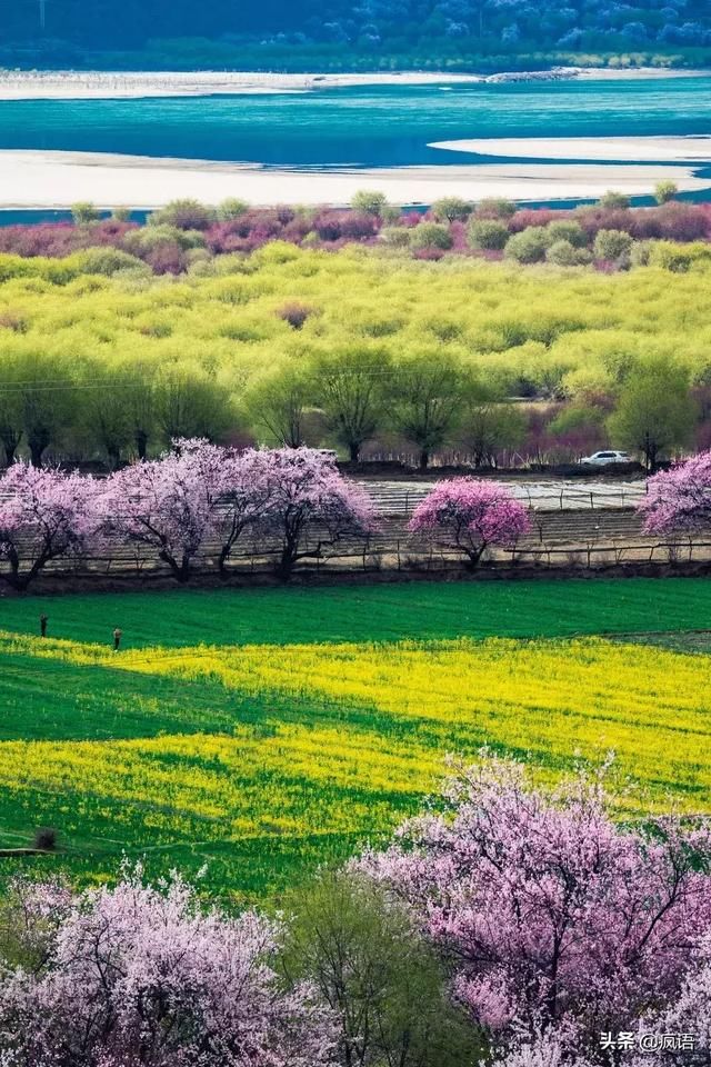 这几个地方景色太美还免费，网友大呼：辞职也要去看看