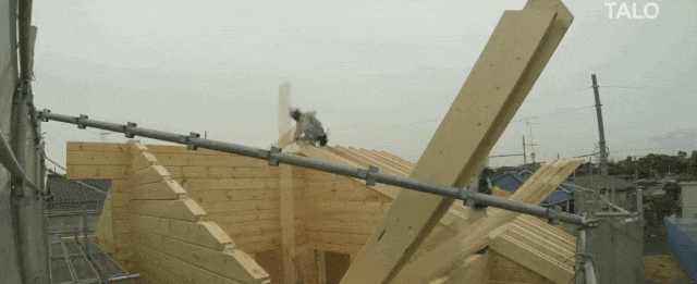  [种地]日本“穷人”住别墅，富人在闹市买地专用来种地，这个世