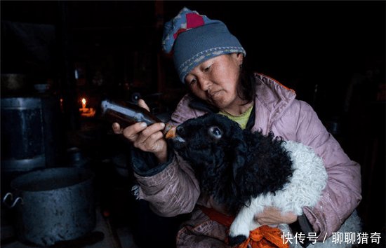 外蒙古与内蒙古牧民冬季生活的对比, 差距太大